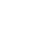 Why Icon
